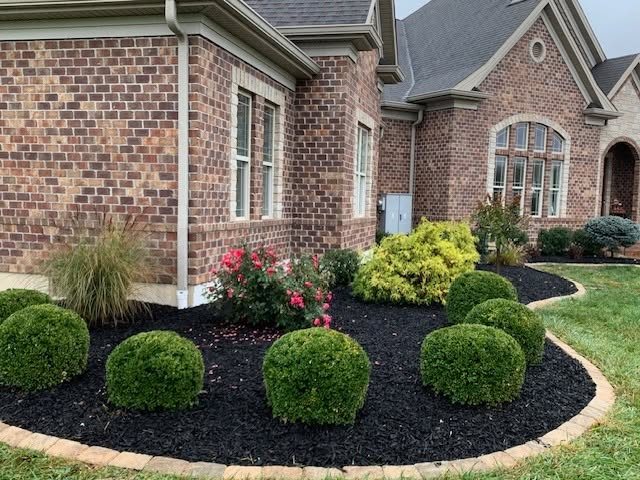 Additional view of completed garden bed refresh