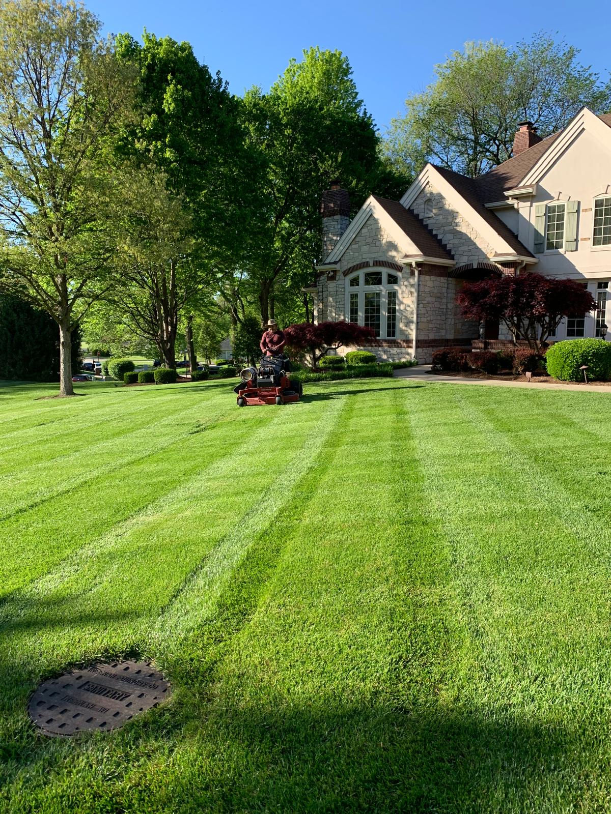 Professional Lawn Care — featured photo