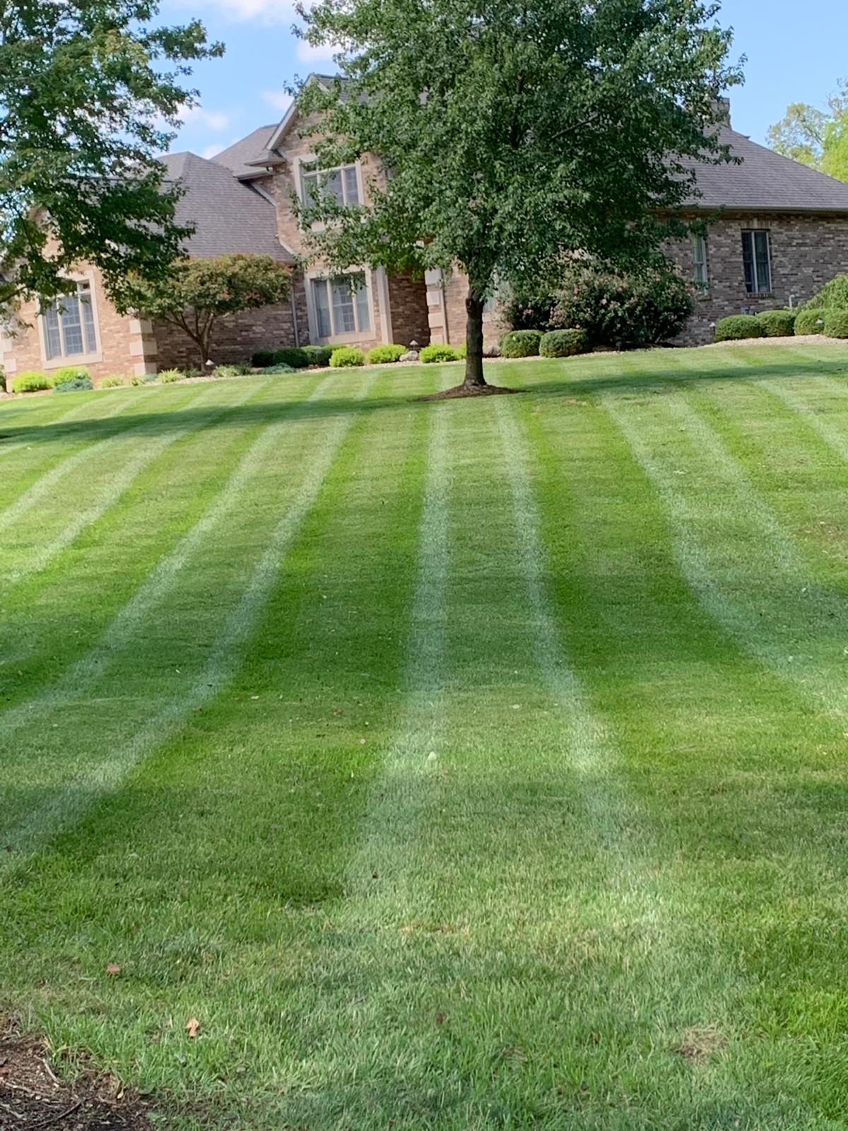 Professionally maintained green lawn