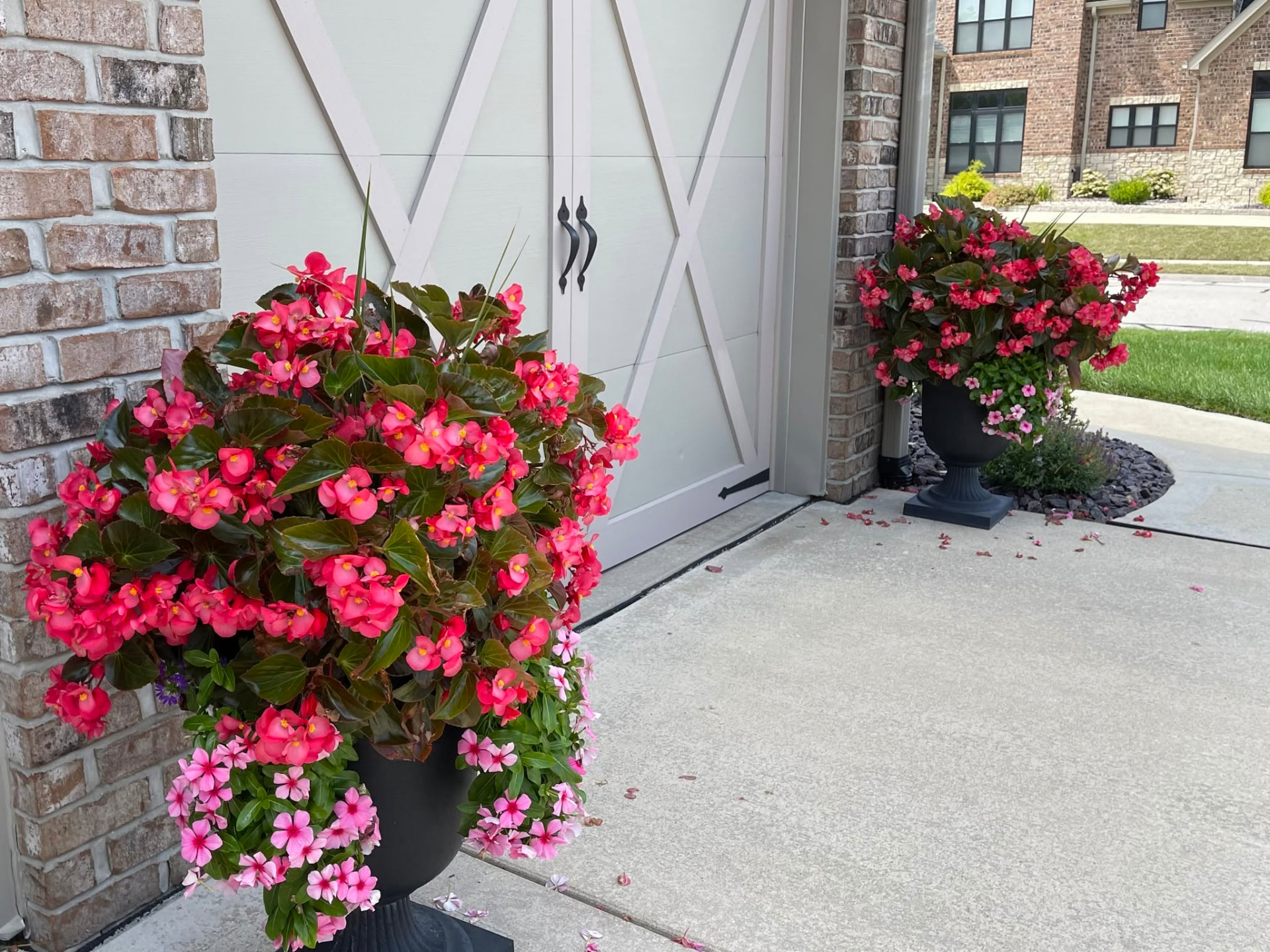 Seasonal flowering container display