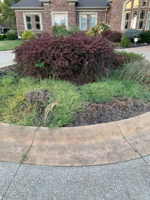 Garden bed before landscaping refresh