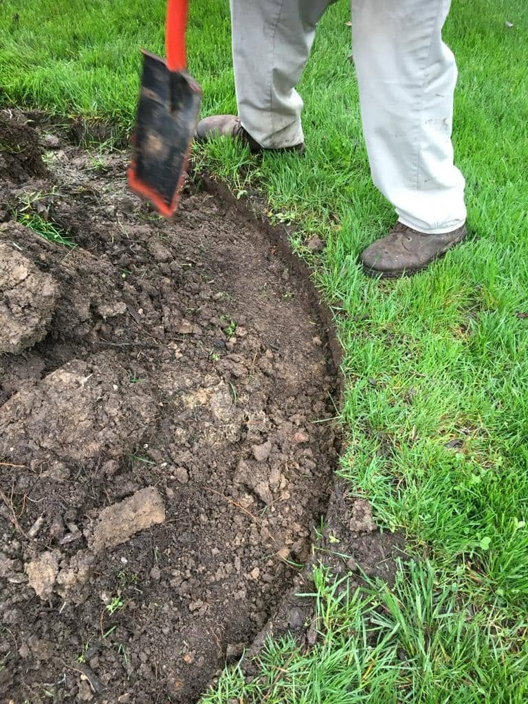Lawn Edging Refresh — featured photo