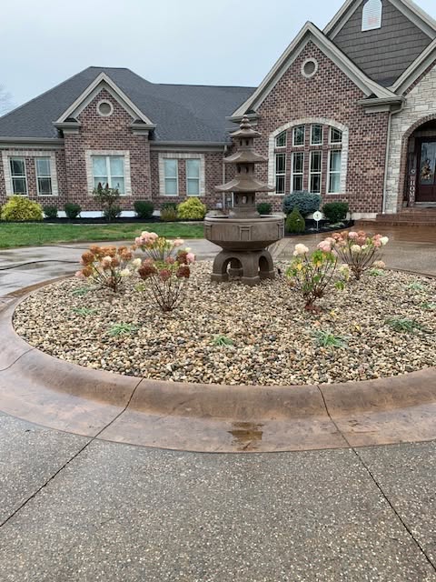 Garden Bed Transformation — featured photo